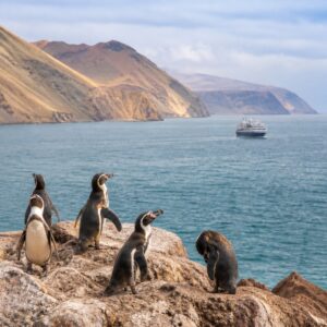 Südamerika - Peru & Chile - Expeditionskreuzfahrt mit Discovery von Valparaíso bis Callao/Lima Unkategorisiert online kaufen